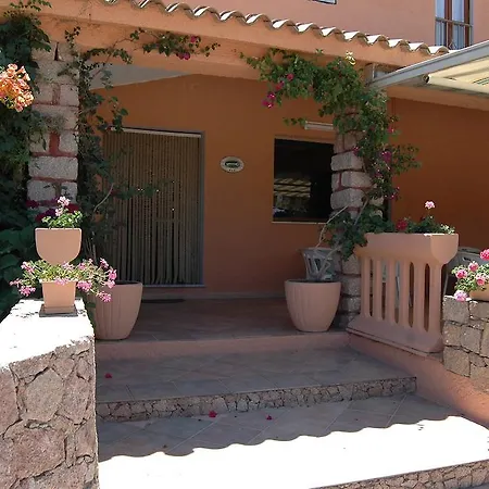 Mediterraneo コスタ・パラディーゾ